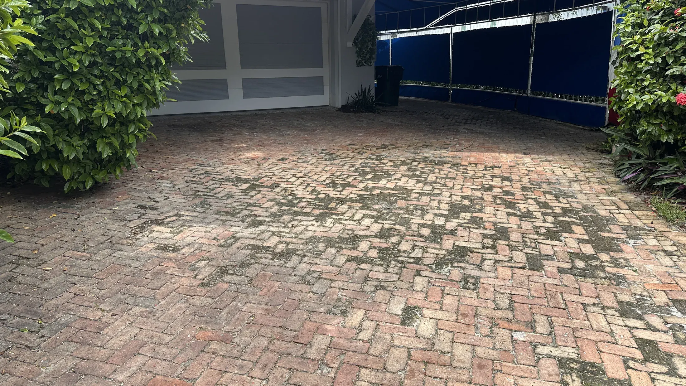 Chicago brick driveway before restoration
