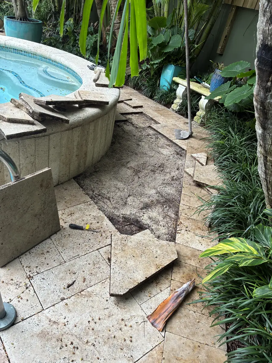 Root interference exposed beneath a travertine pool deck in Delray Beach